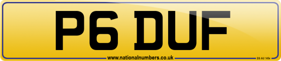 P6 DUF