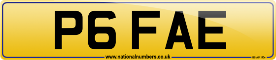 P6 FAE