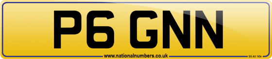 P6 GNN
