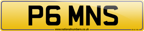 P6 MNS