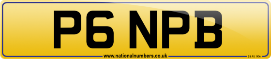 P6 NPB