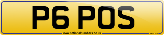 P6 POS