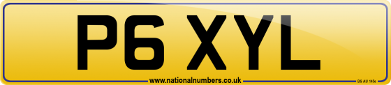 P6 XYL