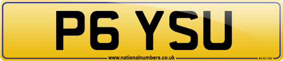 P6 YSU