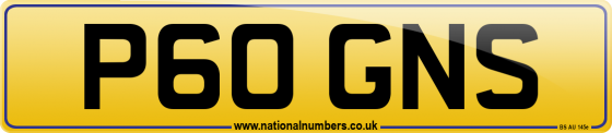 P60 GNS