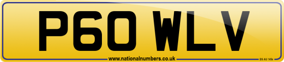 P60 WLV