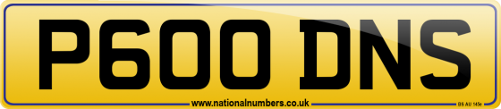P600 DNS