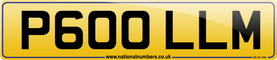 P600 LLM