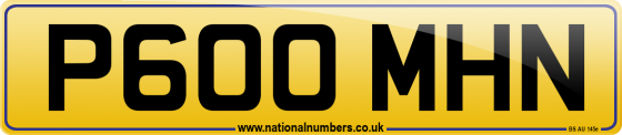 P600 MHN