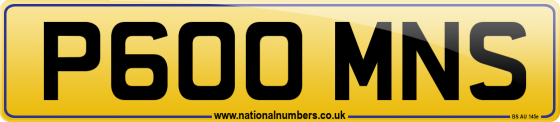 P600 MNS