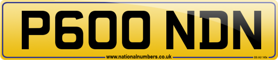 P600 NDN