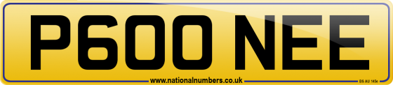 P600 NEE