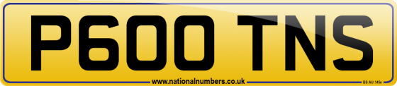 P600 TNS