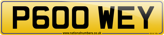 P600 WEY