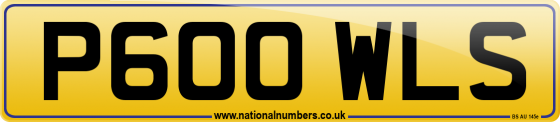 P600 WLS