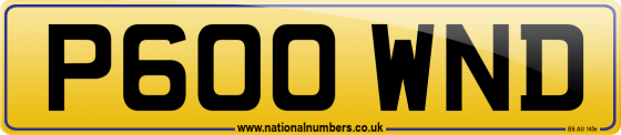 P600 WND
