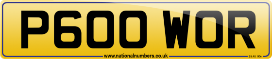 P600 WOR