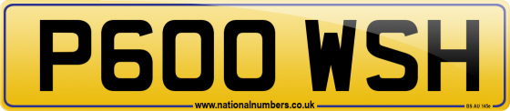 P600 WSH