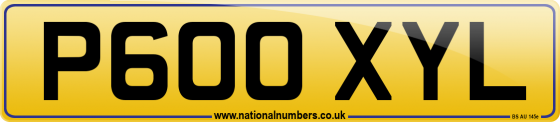 P600 XYL