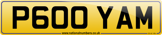 P600 YAM