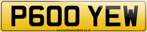 P600 YEW