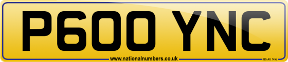 P600 YNC