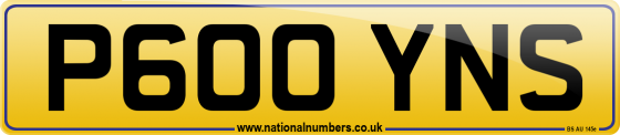 P600 YNS