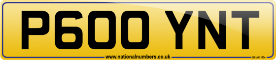 P600 YNT