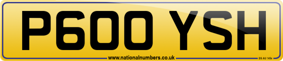 P600 YSH