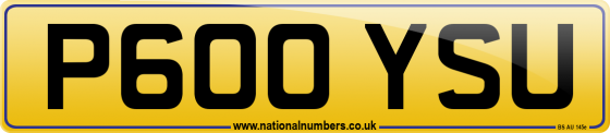 P600 YSU