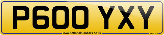 P600 YXY