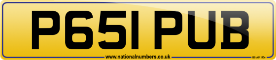 P651 PUB