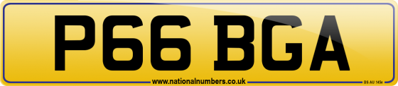 P66 BGA
