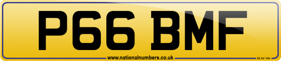 P66 BMF