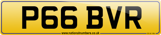 P66 BVR