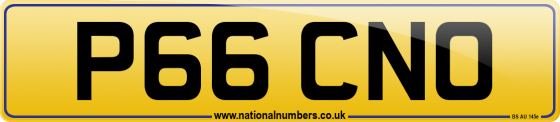 P66 CNO