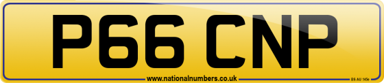 P66 CNP