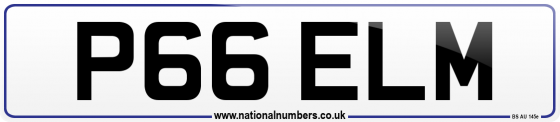 P66 ELM