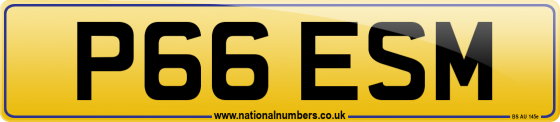 P66 ESM