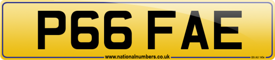 P66 FAE