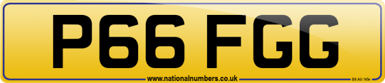 P66 FGG