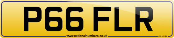P66 FLR