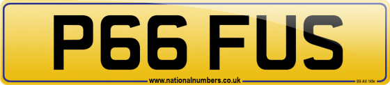P66 FUS