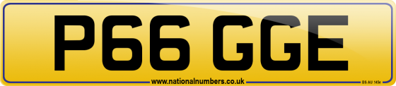 P66 GGE