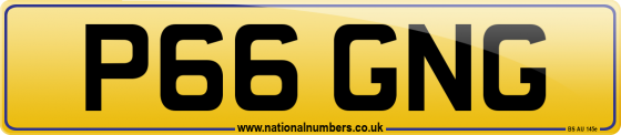 P66 GNG