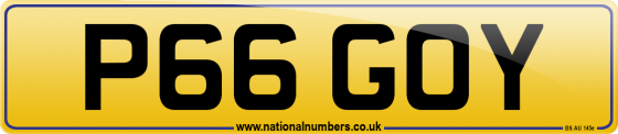 P66 GOY