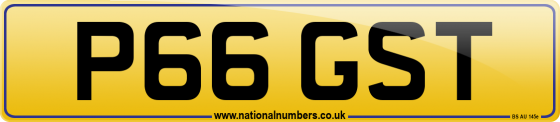 P66 GST