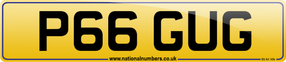 P66 GUG