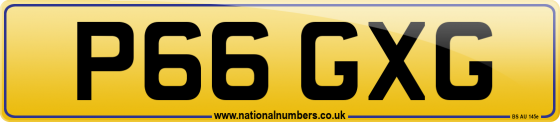 P66 GXG
