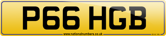 P66 HGB